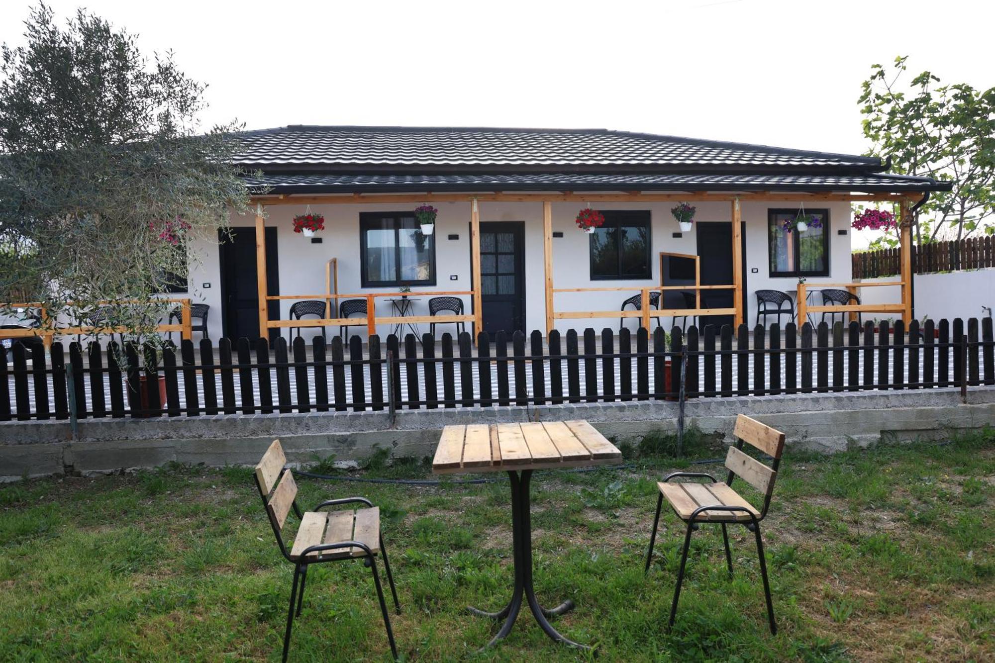 Olive Oasis Studio Berat Bagian luar foto